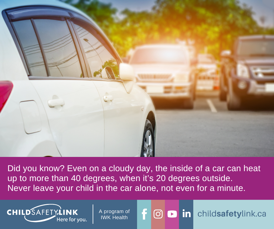 Even on a cloudy day, the inside of a car can heat up to more than 40 degrees when it's 20 degrees outside. 